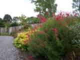 View 0 from article Garden Maintenance Tips