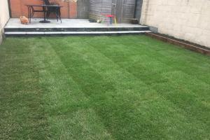 View 20 from project Artificial Grass & Lawns