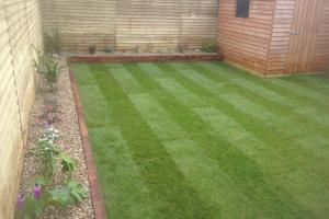 View 4 from project Artificial Grass & Lawns