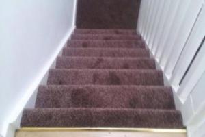 View 7 from project Single Tone Carpets