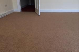 View 8 from project Single Tone Carpets