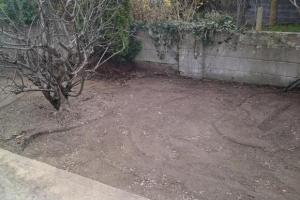 View 4 from project Garden Makeover