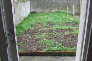 Before from project Garden Patio With Rendered Walls