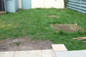 Before from project Natural Grass Lawns