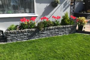 View 8 from project Landscaping and Patio in Dundrum, Co. Dublin